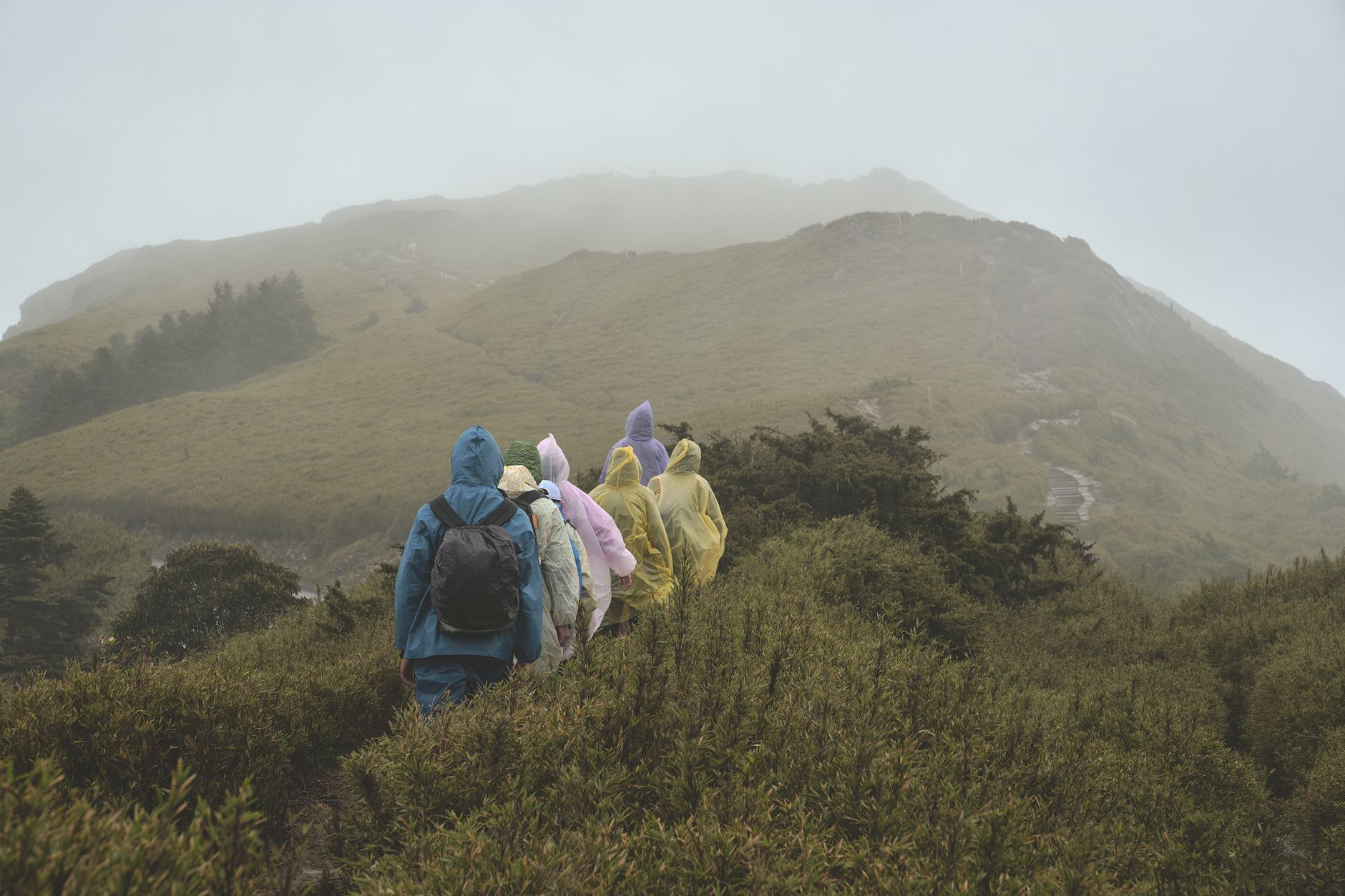 Grupo de senderistas con chaqueta impermeable y ponchos de lluvia en una ruta de montaña con niebla