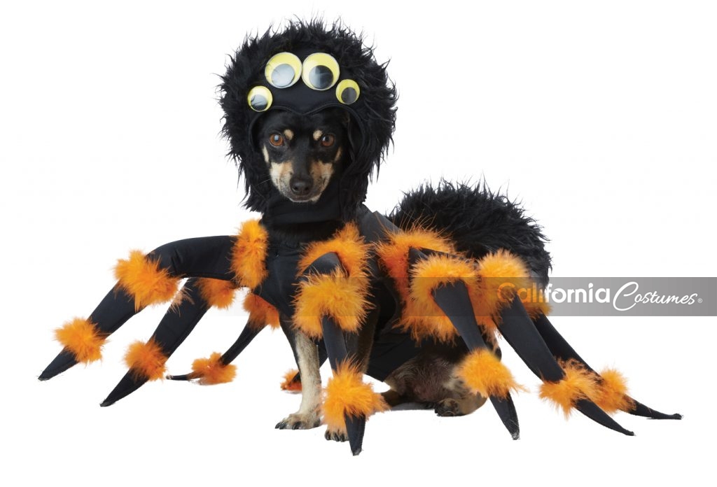 Disfraz de araña para perro California Costumes Spider Pup