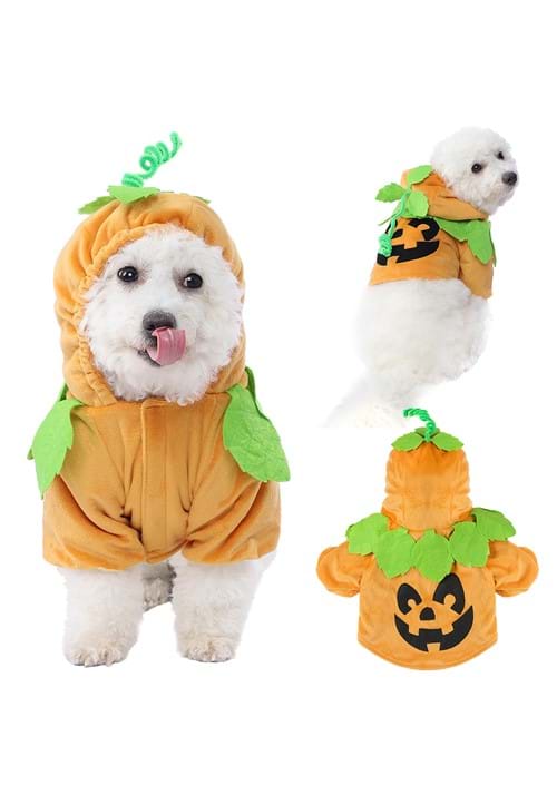 Disfraz de calabaza para perro FUN Costumes Pet Pumpkin