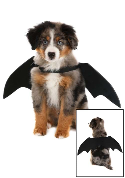 Alas de murciélago para gato y perro FUN Costumes Bat Wings for Pets
