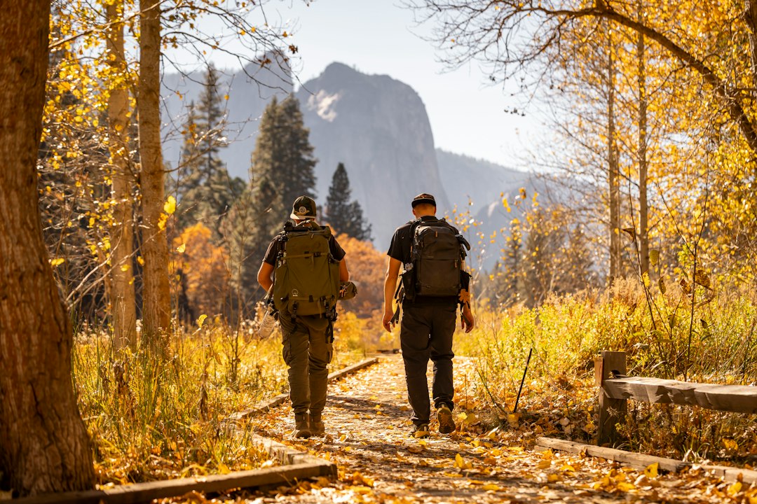 Dos excursionistas con mochila de senderismo caminando por un sendero de otoño entre árboles amarillos