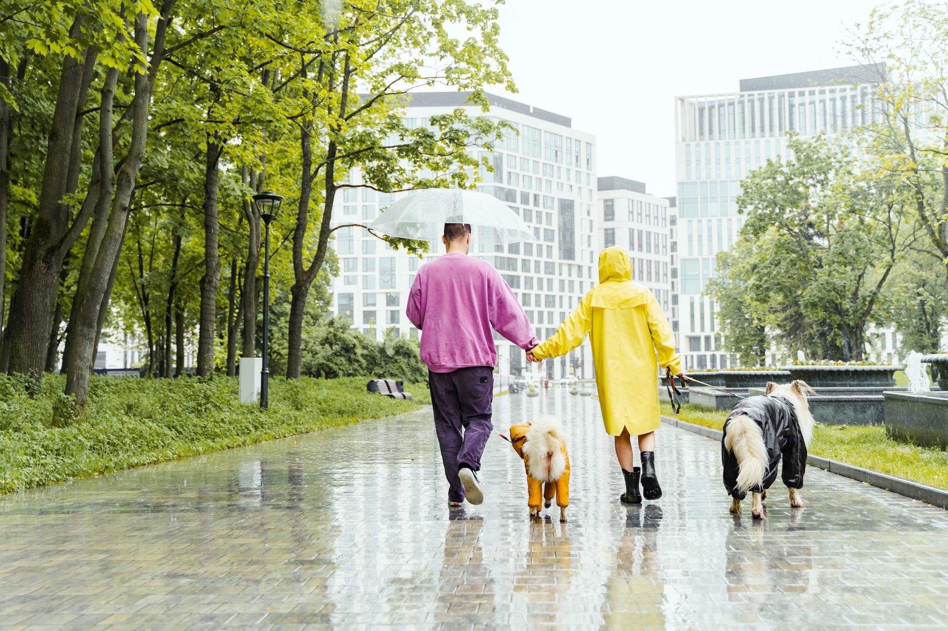 Pareja paseando bajo la lluvia por la ciudad, ella con un chubasquero largo amarillo