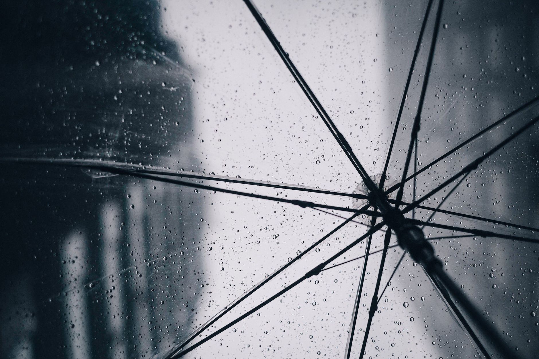 Varillas de un paraguas vistas desde abajo con gotas de lluvia en la cubierta